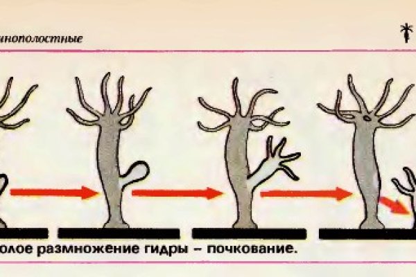 Как войти на сайт кракен