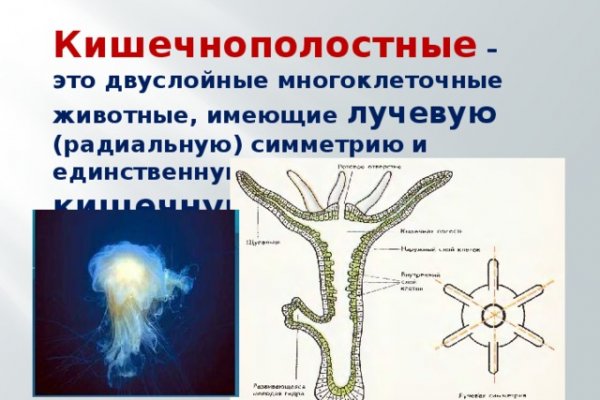 Ссылка на кракен 14ат